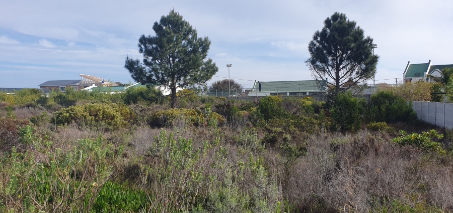 0 Bedroom Property for Sale in Fisherhaven Western Cape